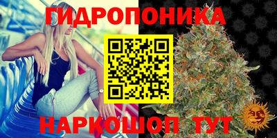 ешки Ачхой-Мартан