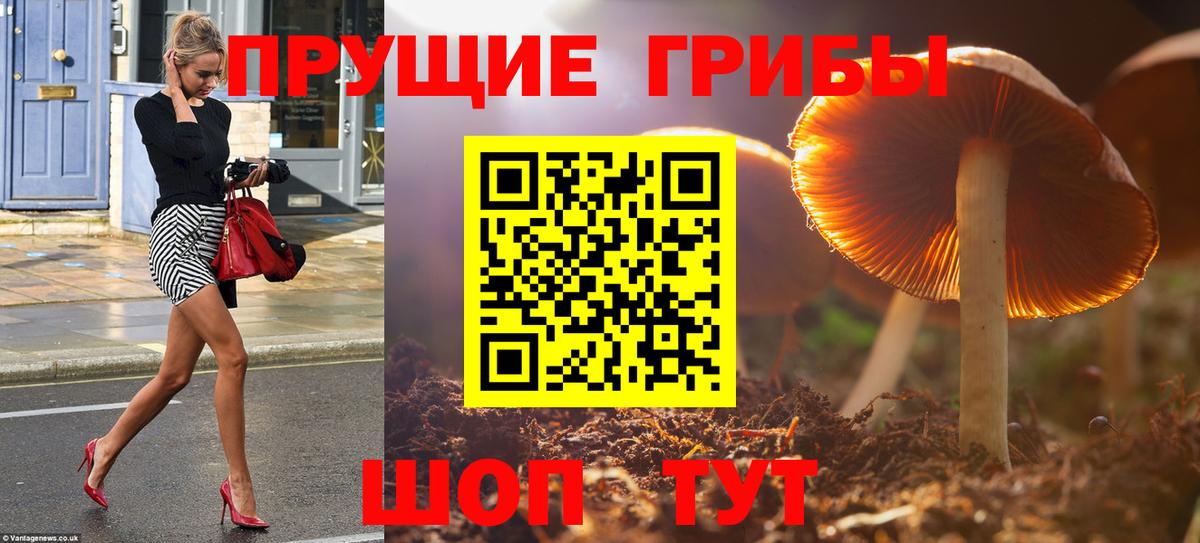 Псилоцибиновые грибы мухоморы Владикавказ