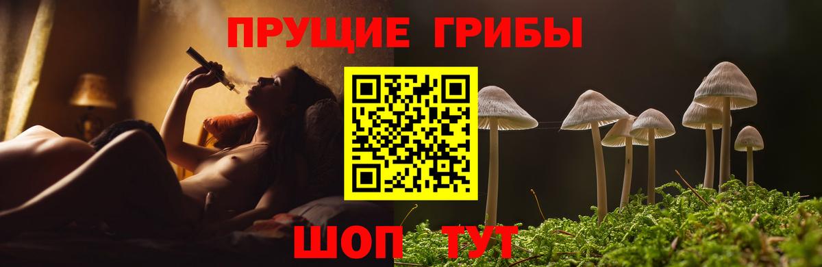 Владикавказ  Галлюциногенные грибы мухоморы  что такое наркотик  Вход с VPN 