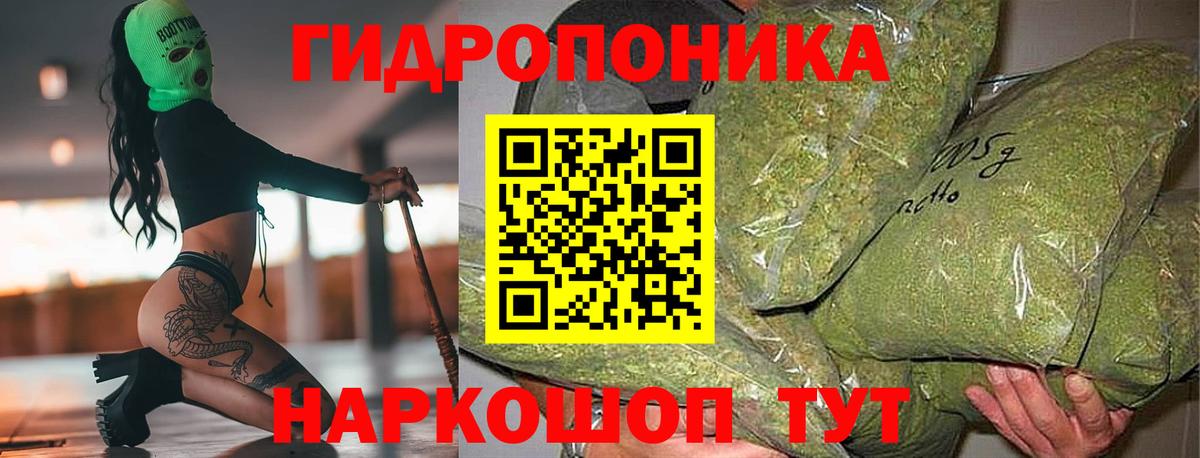 Бошки марихуана гибрид  Вход с VPN  Каннабис тримм  Владикавказ  Канабис AK-47 